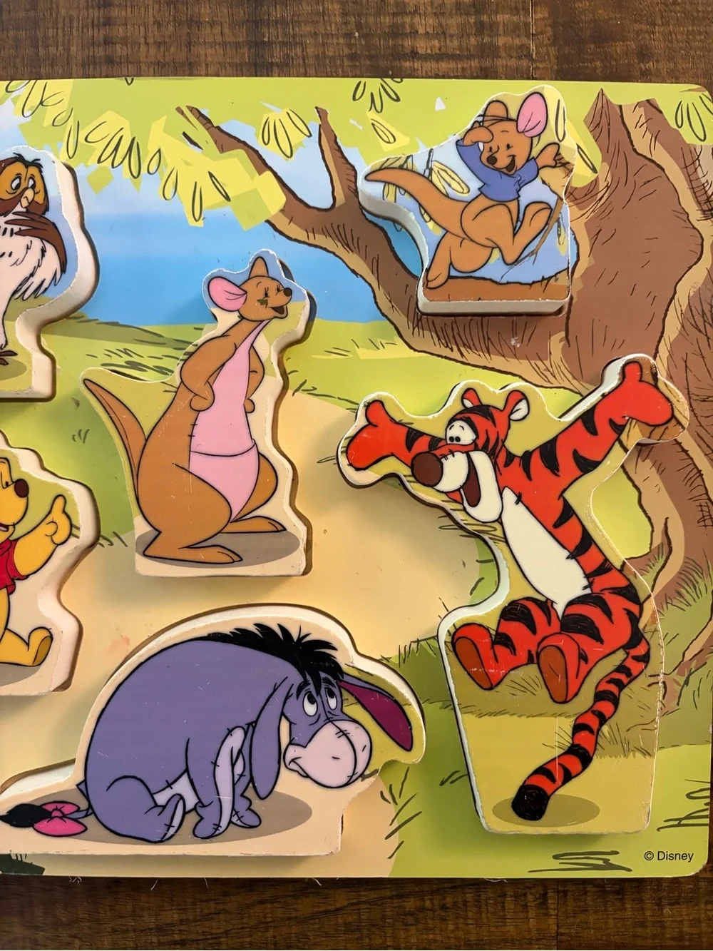 Melissa & Doug Disney Winnie the Pooh wooden chunky puzzle #7183 EXCELLENT!